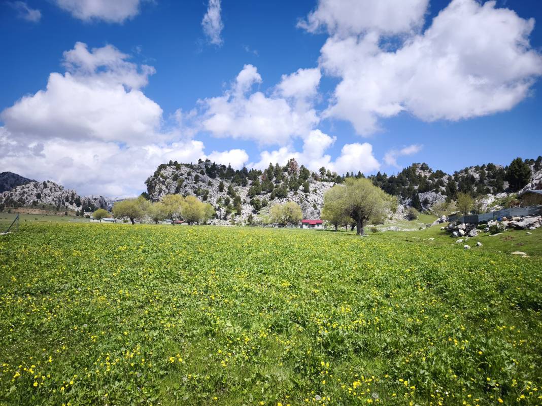 Konya’nın ünlü yaylasında baharın renkli yüzü çıktı 11